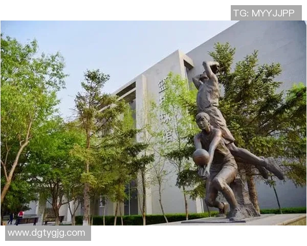 沈阳体育明星排名全景解析及其影响力评估报告