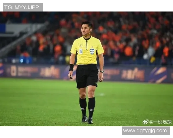 足球明星对马宁的高度评价与职业精神的深刻分析